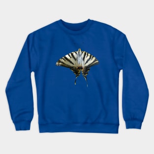 Papilio Machaon Common Yellow Swallowtail Cut Out Crewneck Sweatshirt